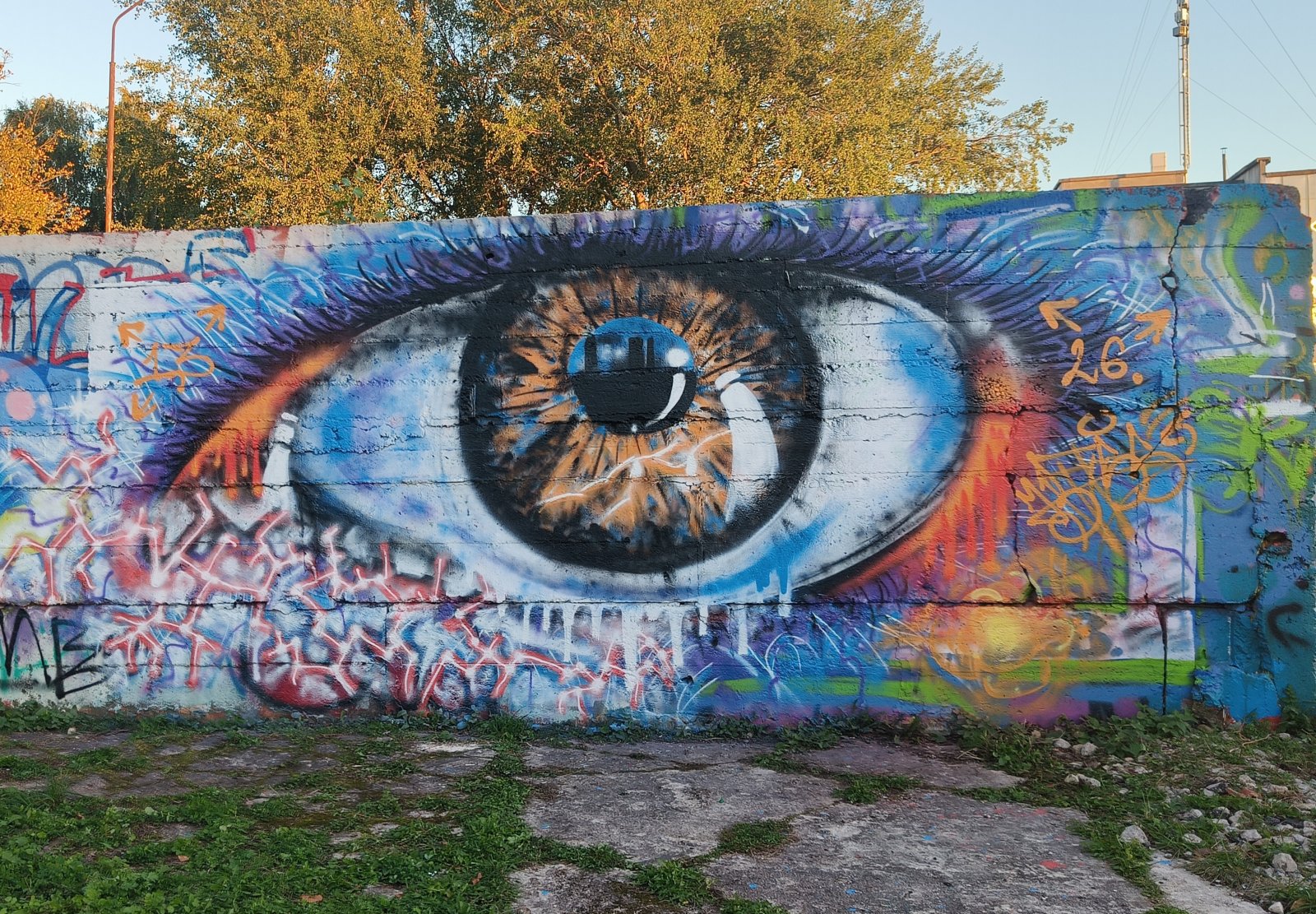 Real eyes realize real lies