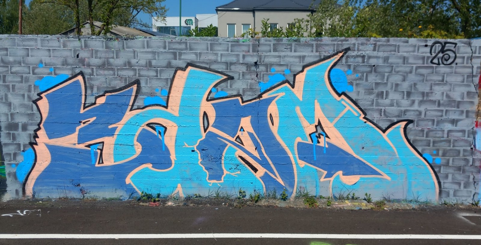 3dom