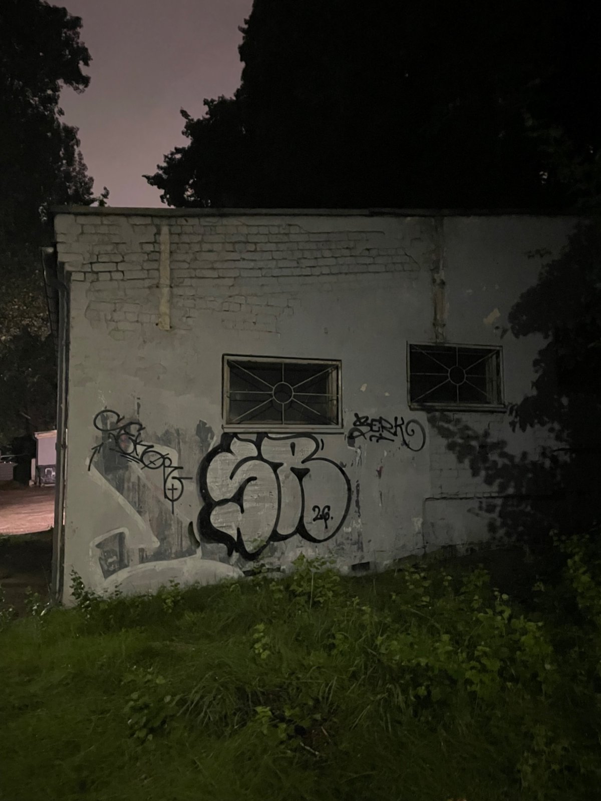 throw up